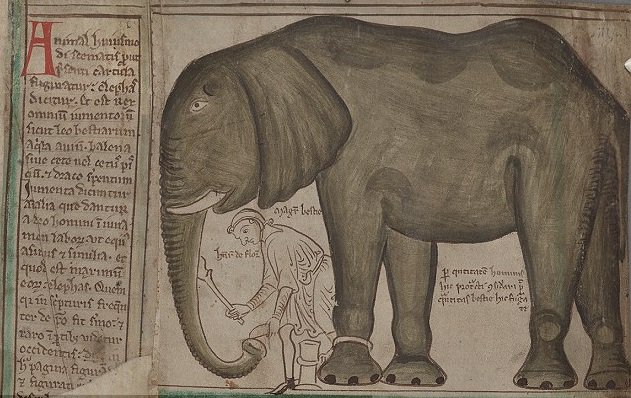 African elephant from the Chronica Maiora (after 1255), based on the elephant at the Tower of London menagerie (University of Cambridge)