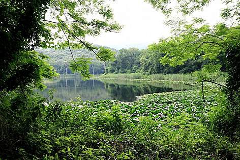 08-1 Astroni crater Nature Reserve-1.jpg